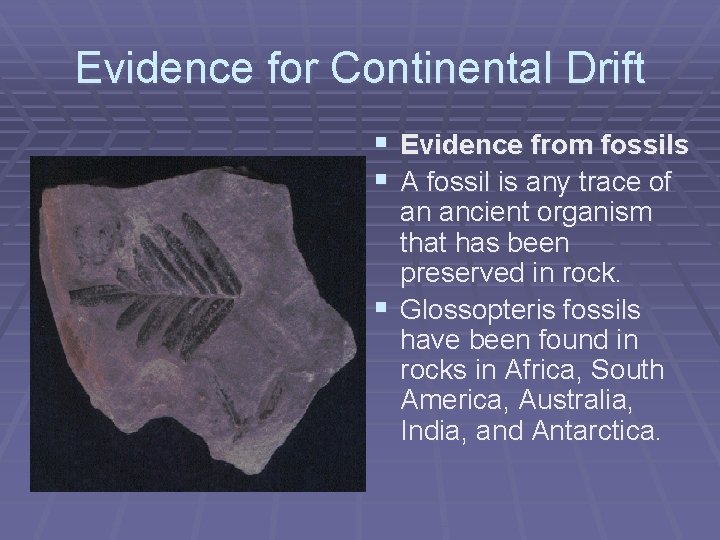 Evidence for Continental Drift § Evidence from fossils § A fossil is any trace