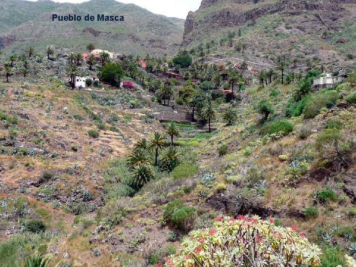 Pueblo de Masca . . . 