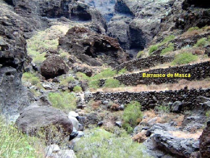 . . . Barranco de Masca 