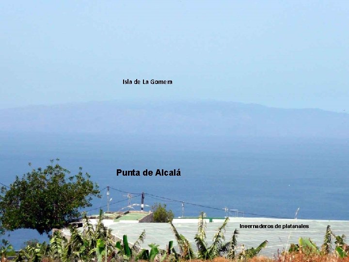 Isla de La Gomera Punta de Alcalá. . . Invernaderos de platanales 