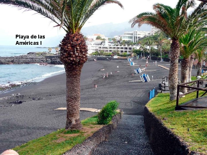 Playa de las Américas I. . . 