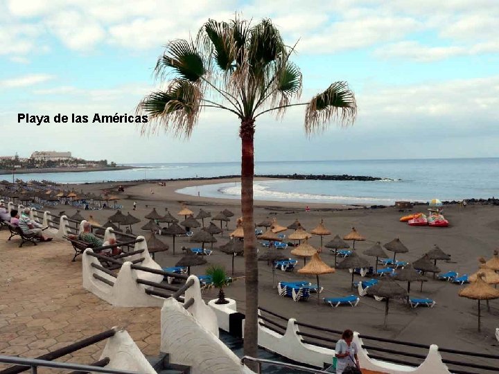 Playa de las Américas. . . 