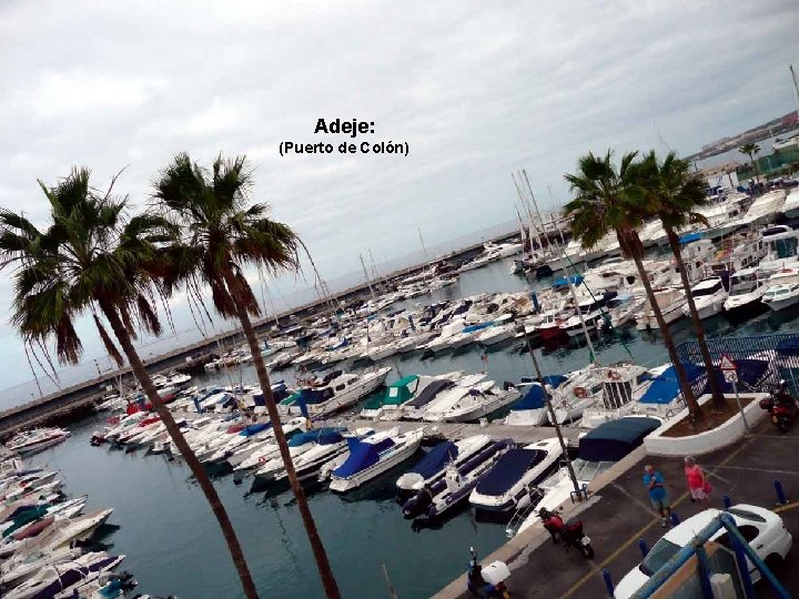 Adeje: (Puerto de Colón). . . 