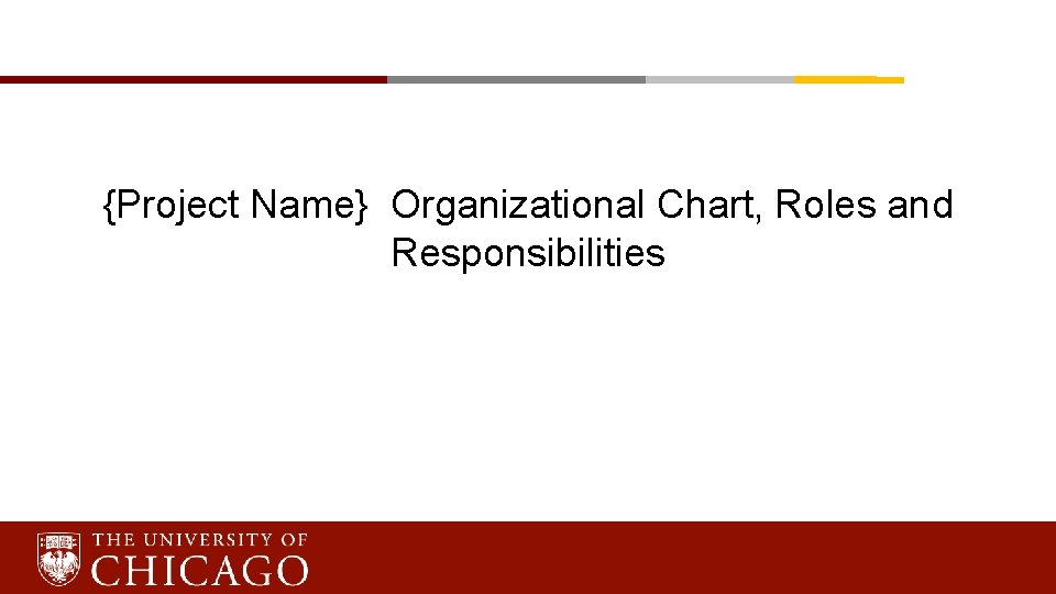 {Project Name} Organizational Chart, Roles and Responsibilities 