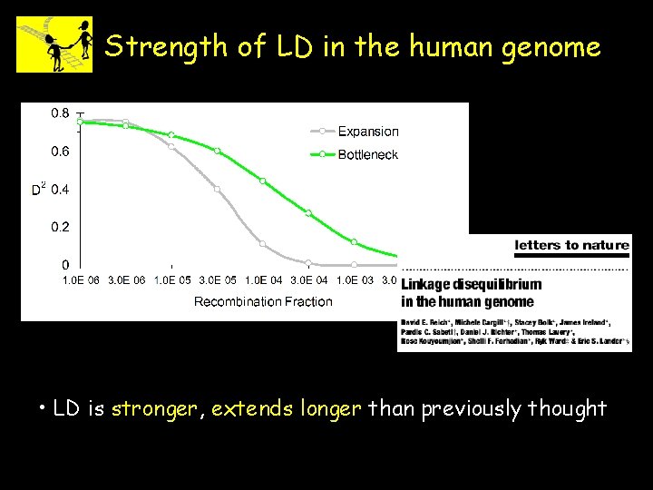 Strength of LD in the human genome • LD is stronger, extends longer than