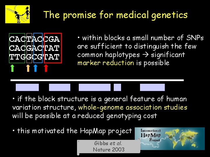 The promise for medical genetics CACTACCGA CACGACTAT TTGGCGTAT • within blocks a small number