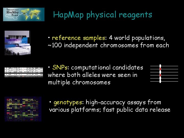 Hap. Map physical reagents • reference samples: 4 world populations, ~100 independent chromosomes from