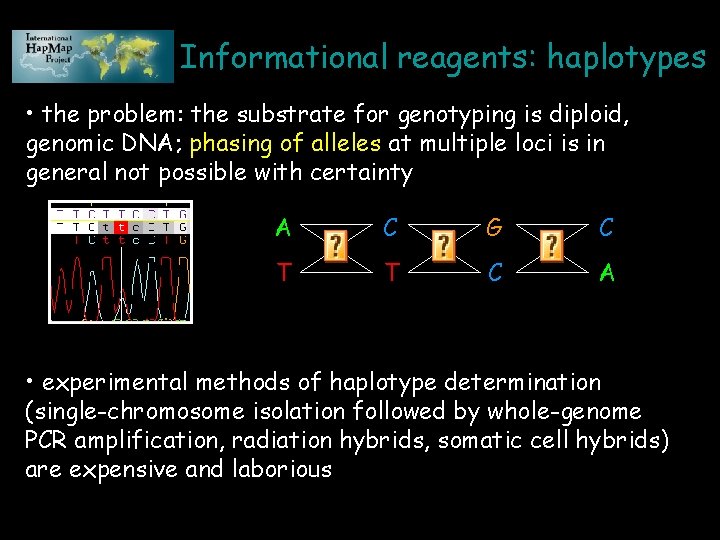 Informational reagents: haplotypes • the problem: the substrate for genotyping is diploid, genomic DNA;