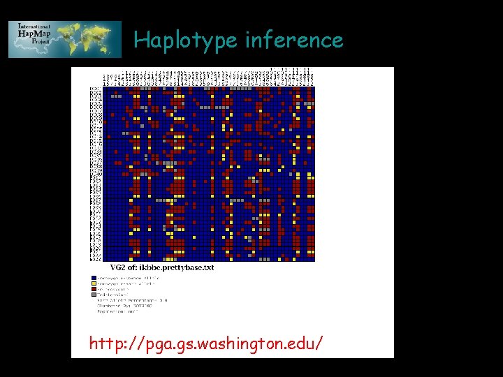 Haplotype inference http: //pga. gs. washington. edu/ 