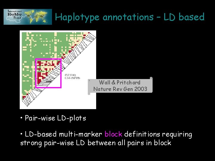 Haplotype annotations – LD based Wall & Pritchard Nature Rev Gen 2003 • Pair-wise