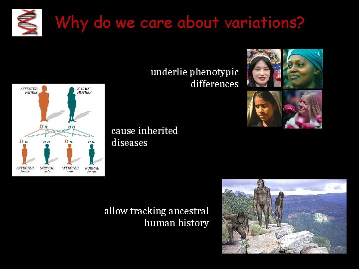 Why do we care about variations? underlie phenotypic differences cause inherited diseases allow tracking