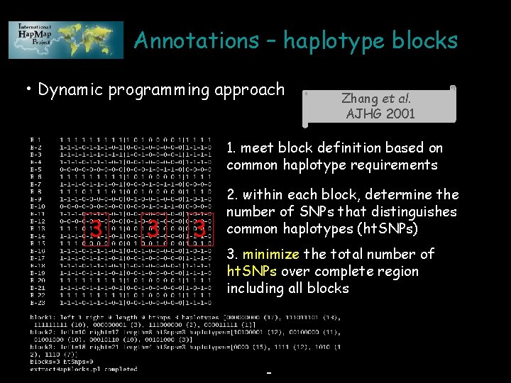 Annotations – haplotype blocks • Dynamic programming approach Zhang et al. AJHG 2001 1.