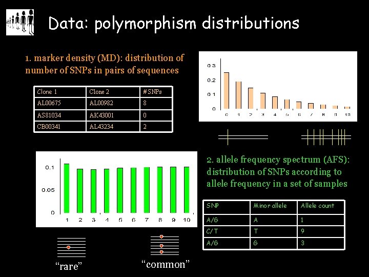 Data: polymorphism distributions 1. marker density (MD): distribution of number of SNPs in pairs