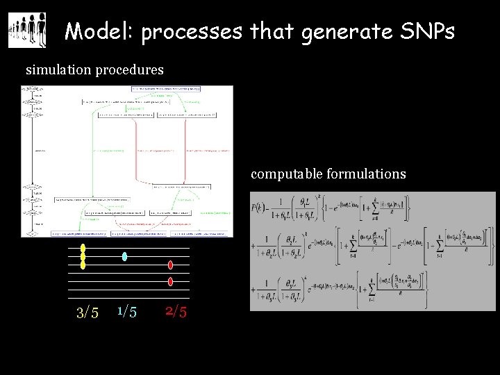 Model: processes that generate SNPs simulation procedures computable formulations 3/5 1/5 2/5 