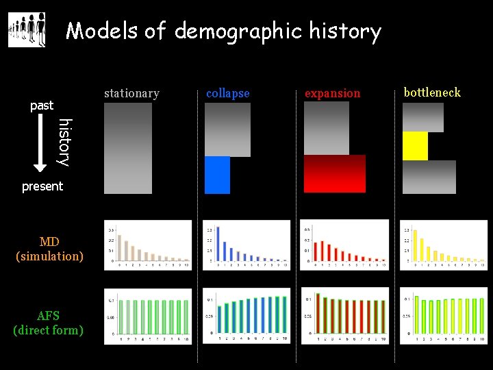 Models of demographic history stationary past history present MD (simulation) AFS (direct form) collapse