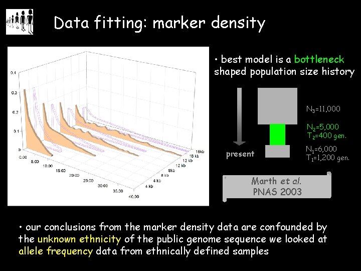 Data fitting: marker density • best model is a bottleneck shaped population size history