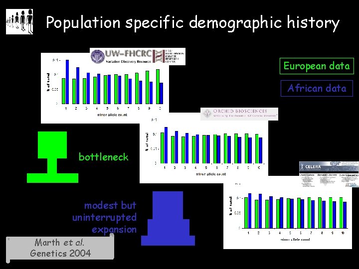 Population specific demographic history European data African data bottleneck modest but uninterrupted expansion Marth