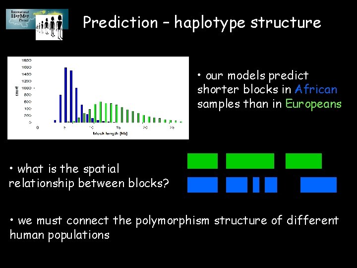 Prediction – haplotype structure • our models predict shorter blocks in African samples than