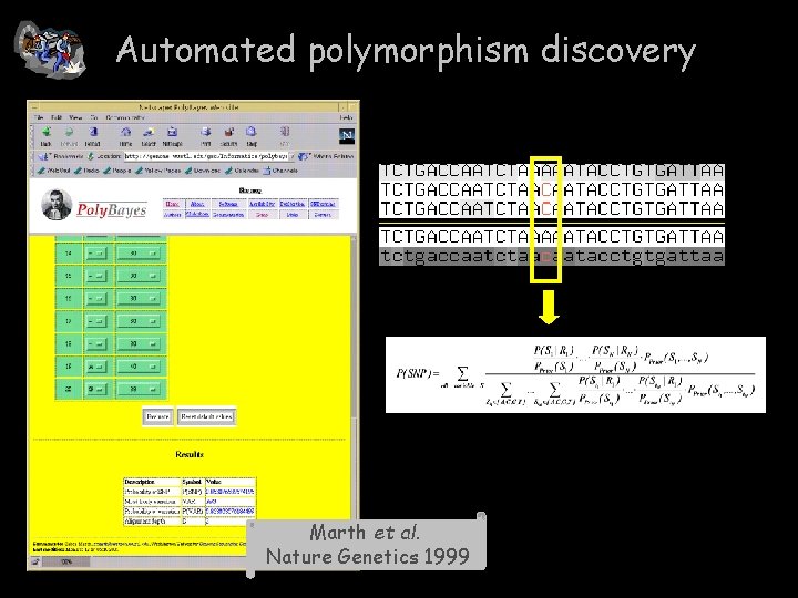 Automated polymorphism discovery Marth et al. Nature Genetics 1999 