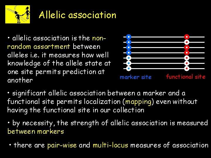 Allelic association • allelic association is the nonrandom assortment between alleles i. e. it