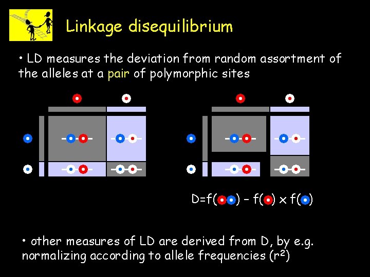 Linkage disequilibrium • LD measures the deviation from random assortment of the alleles at