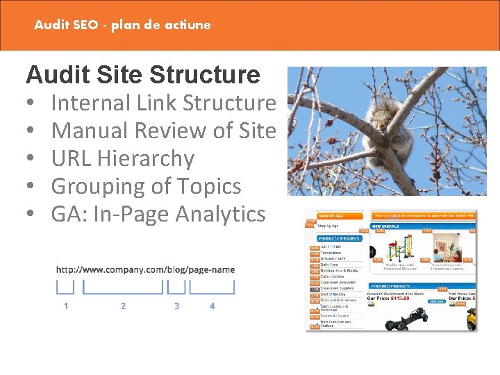 Audit SEO - plan de actiune Audit Site Structure • Internal Link Structure •