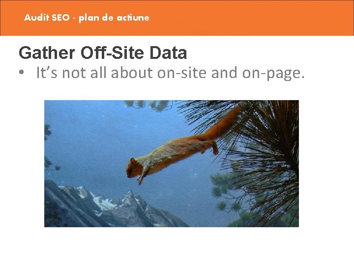 Audit SEO - plan de actiune Gather Off-Site Data • It’s not all about