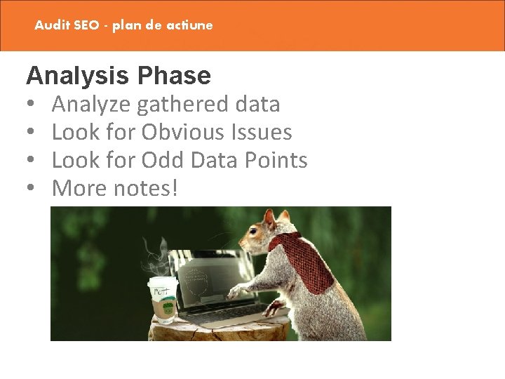 Audit SEO - plan de actiune Analysis Phase • Analyze gathered data • Look