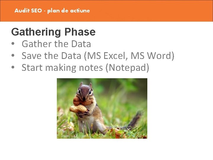 Audit SEO - plan de actiune Gathering Phase • Gather the Data • Save