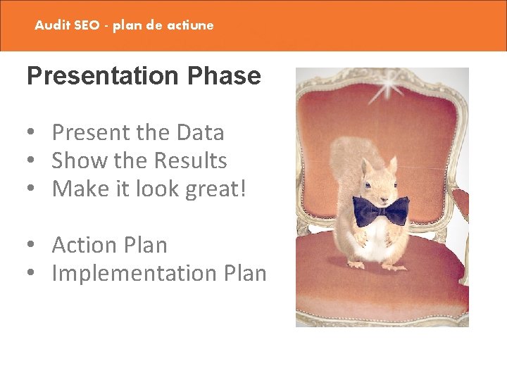 Audit SEO - plan de actiune Presentation Phase • Present the Data • Show