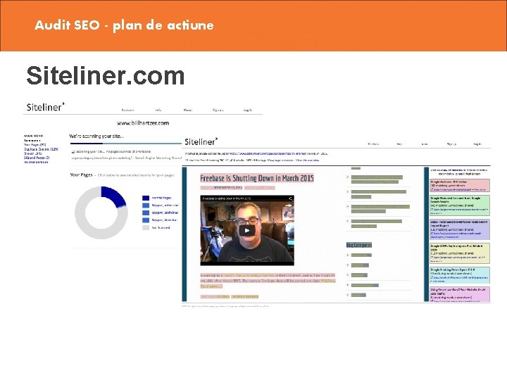 Audit SEO - plan de actiune Siteliner. com 