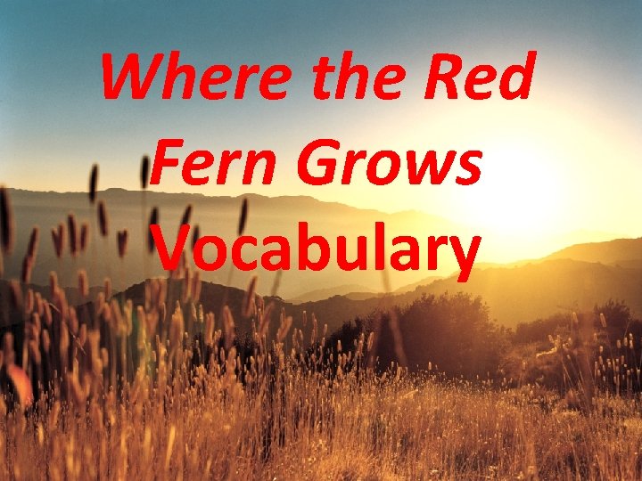 Where the Red Fern Grows Vocabulary 