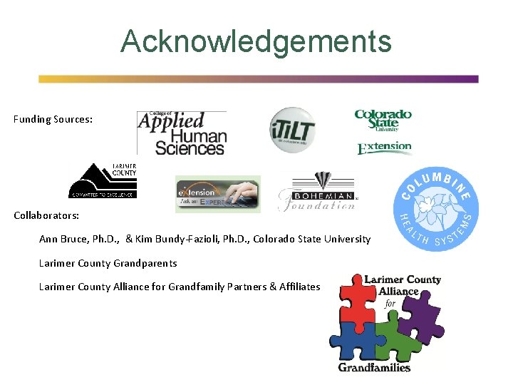 Acknowledgements Funding Sources: Collaborators: Ann Bruce, Ph. D. , & Kim Bundy-Fazioli, Ph. D.