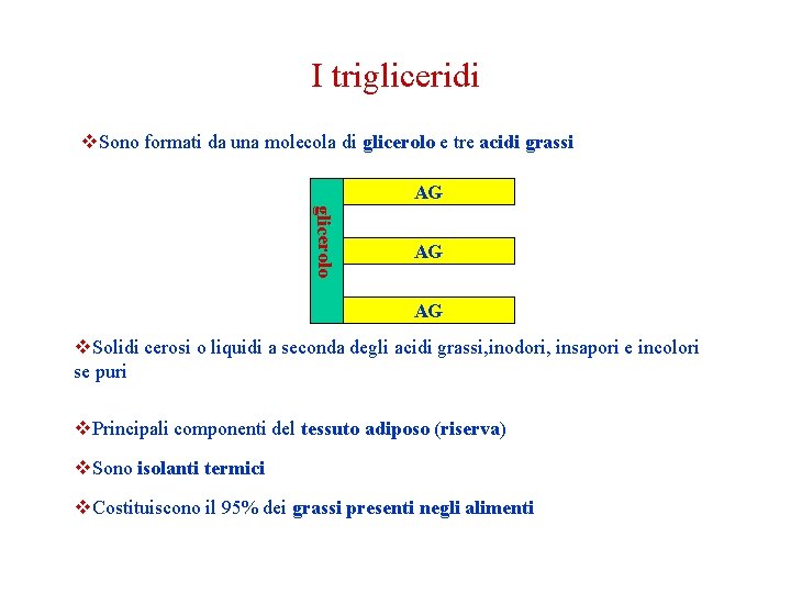 I trigliceridi v. Sono formati da una molecola di glicerolo e tre acidi grassi I trigliceridi v. Sono formati da una molecola di glicerolo e tre acidi grassi