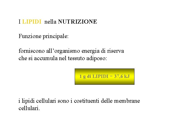 I LIPIDI nella NUTRIZIONE Funzione principale: forniscono all’organismo energia di riserva che si accumula I LIPIDI nella NUTRIZIONE Funzione principale: forniscono all’organismo energia di riserva che si accumula