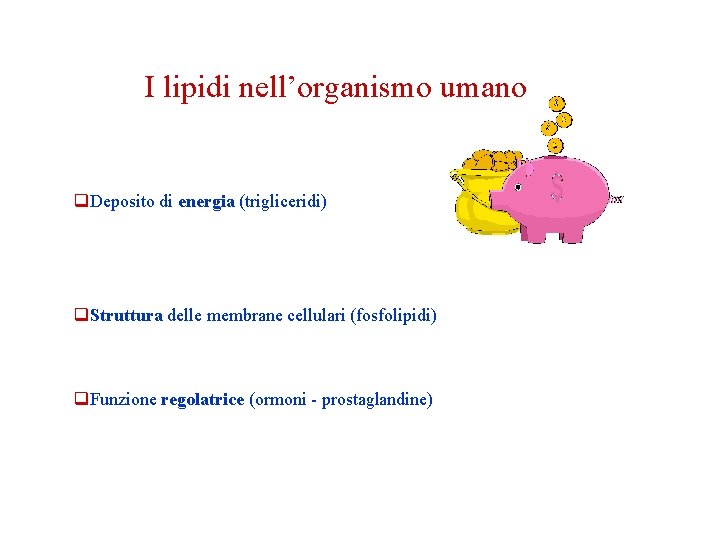 I lipidi nell’organismo umano q. Deposito di energia (trigliceridi) q. Struttura delle membrane cellulari I lipidi nell’organismo umano q. Deposito di energia (trigliceridi) q. Struttura delle membrane cellulari