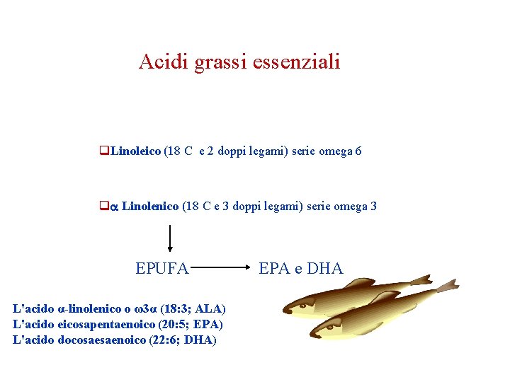 Acidi grassi essenziali q. Linoleico (18 C e 2 doppi legami) serie omega 6 Acidi grassi essenziali q. Linoleico (18 C e 2 doppi legami) serie omega 6