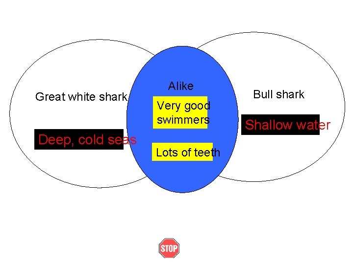Great white shark Deep, cold seas Alike Very good swimmers Lots of teeth Bull