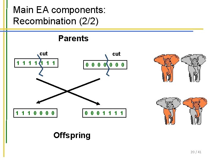Main EA components: Recombination (2/2) Parents cut 1 1 1 1 0 0 0