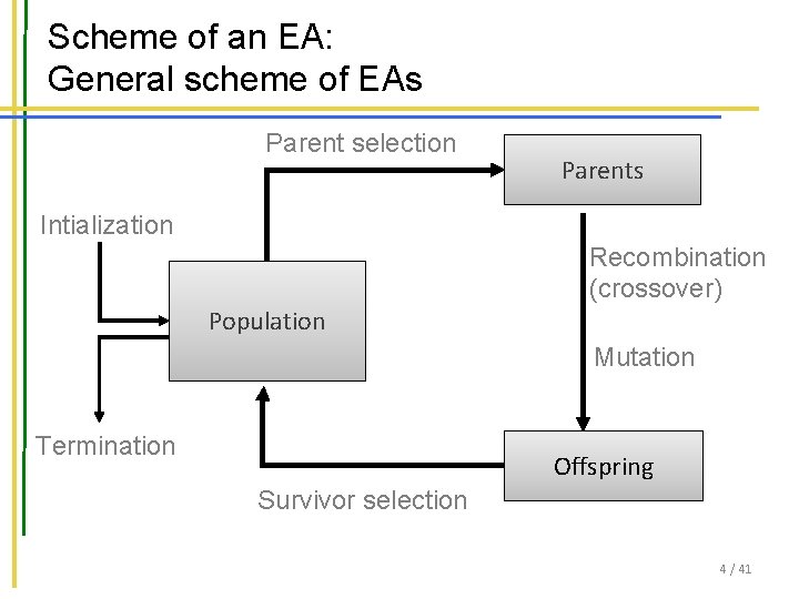 Scheme of an EA: General scheme of EAs Parent selection Parents Intialization Recombination (crossover)