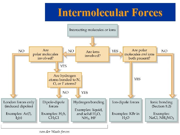 Intermolecular Forces 