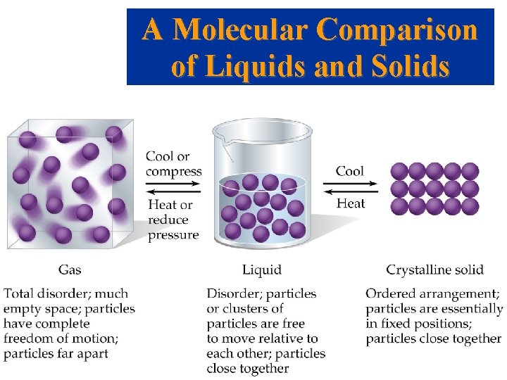 A Molecular Comparison of Liquids and Solids 