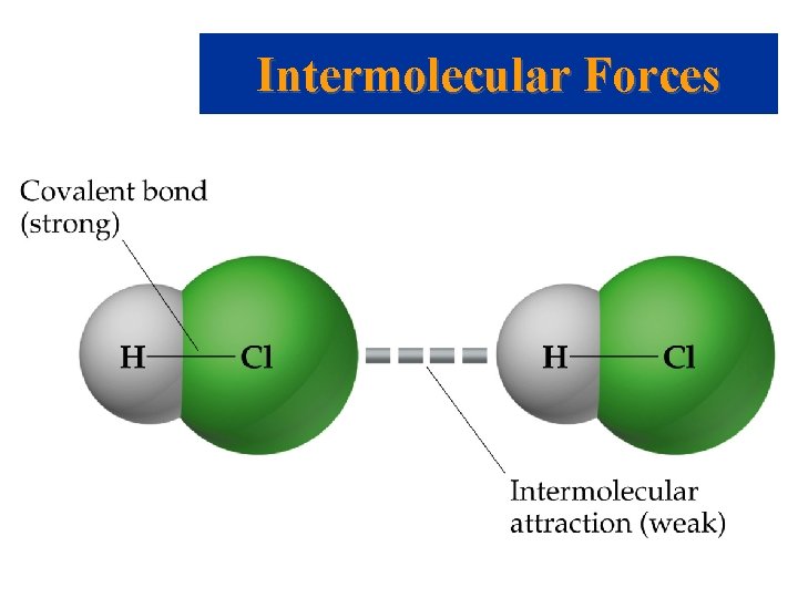 Intermolecular Forces 