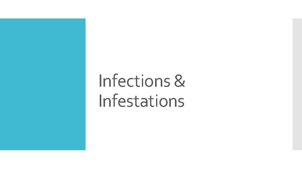 Infections & Infestations 