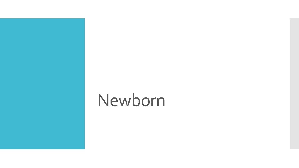 Newborn 
