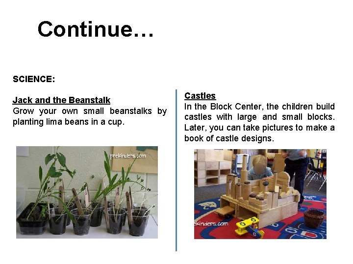 Continue… SCIENCE: Jack and the Beanstalk Grow your own small beanstalks by planting lima