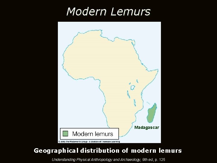 Modern Lemurs Madagascar Geographical distribution of modern lemurs Understanding Physical Anthropology and Archaeology, 9