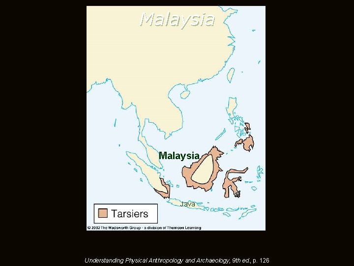 Malaysia Java Understanding Physical Anthropology and Archaeology, 9 th ed. , p. 126 