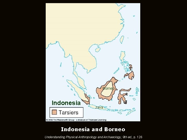 Borneo Indonesia Java Indonesia and Borneo Understanding Physical Anthropology and Archaeology, 9 th ed.