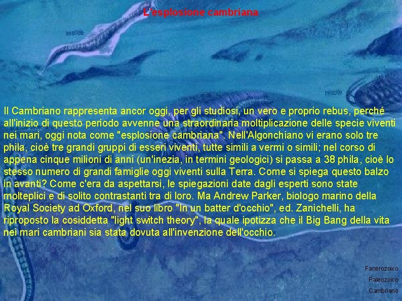 L'esplosione cambriana Il Cambriano rappresenta ancor oggi, per gli studiosi, un vero e proprio